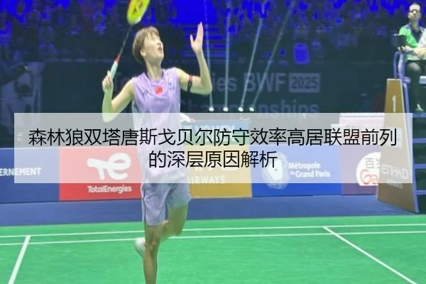 森林狼双塔唐斯戈贝尔防守效率高居联盟前列的深层原因解析